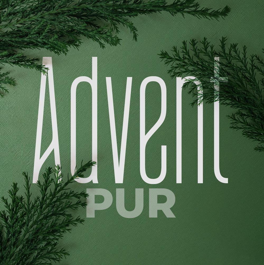 Advent Pur bei Blumen 4 Jahreszeiten